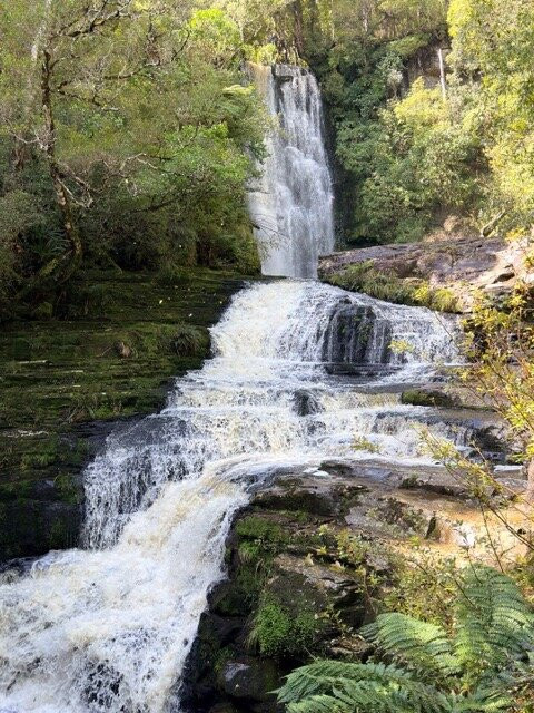 Catlins Tours-奥瓦卡必去景点