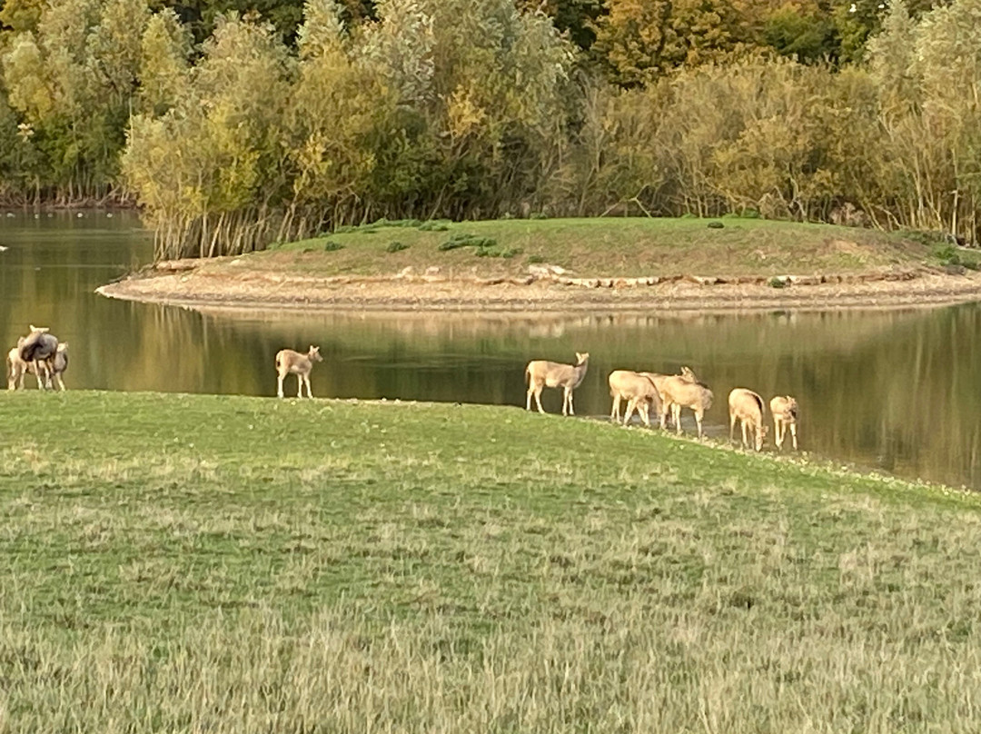 Watatunga Wildlife Reserve-金斯林必去景点