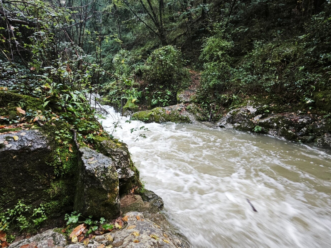 Candalla Waterfalls-卡马约雷必去景点