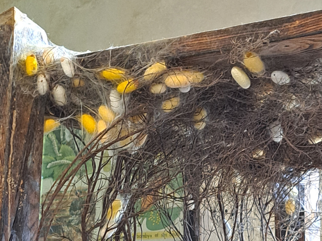 Château Des Roure-Labastide-de-Virac必去景点