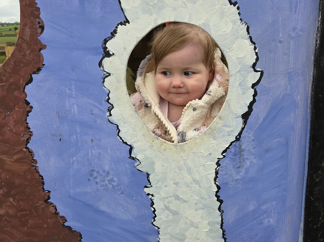 Tunstall Farm Park-Woodseaves必去景点