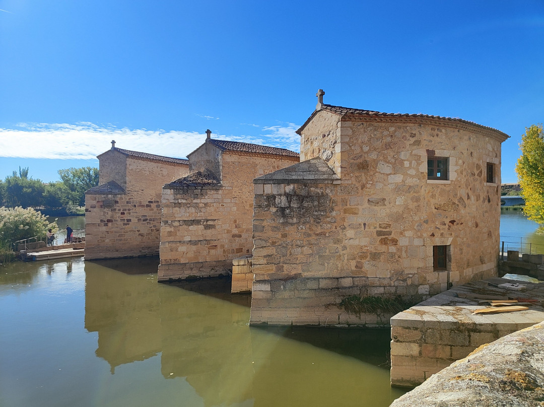 Aceñas de Olivares-萨莫拉必去景点