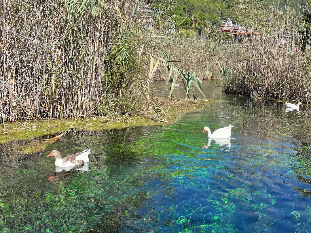 Akyaka River Romp-Akyaka必去景点