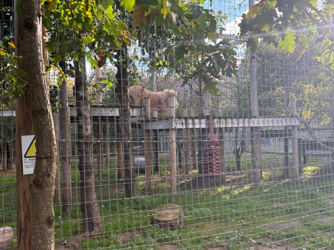 Lincolnshire Wildlife Park-Friskney必去景点