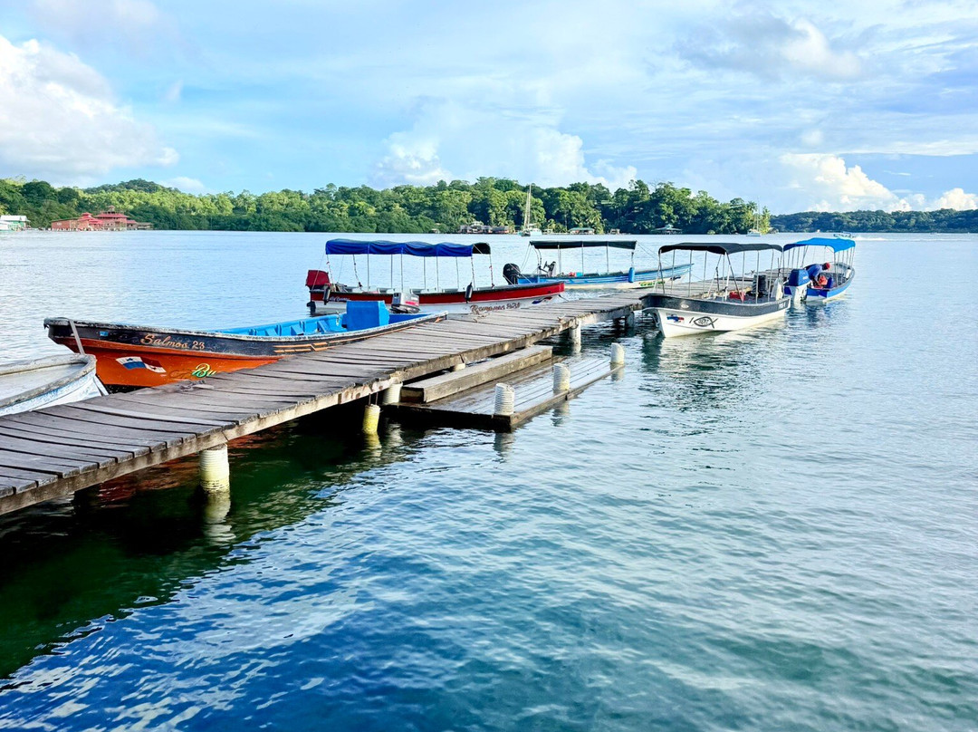 马里诺岛巴斯蒂门多斯国家公园-博卡斯镇必去景点