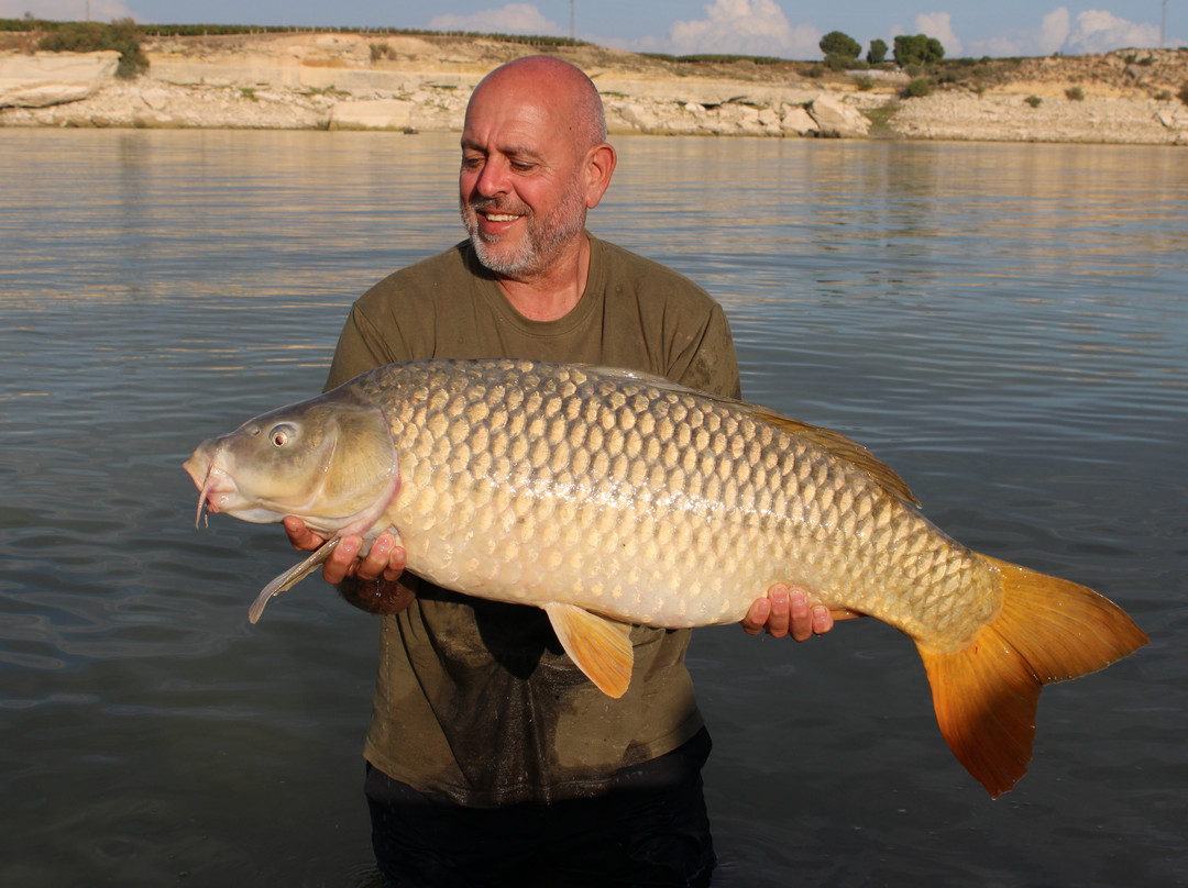 River Ebro Catfishing Holidays-Caspe必去景点