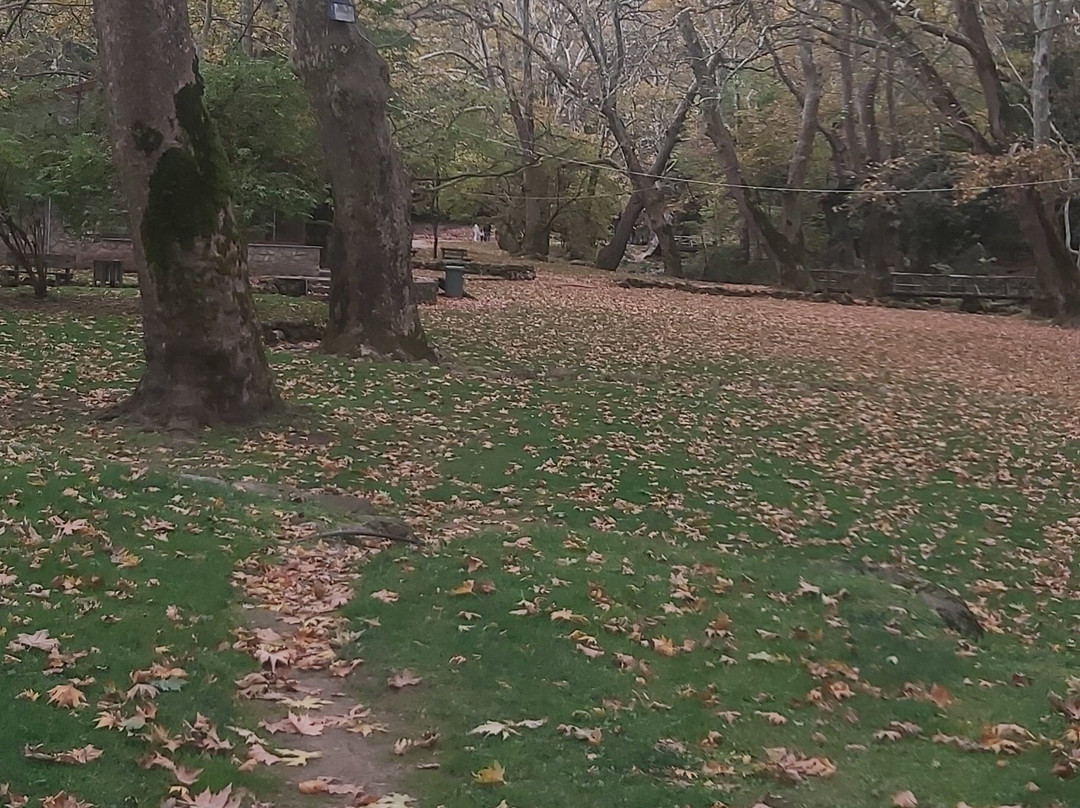 Agios Nikolaos Park-Naousa必去景点