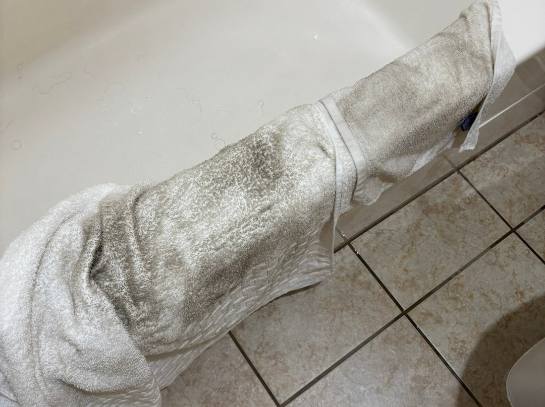 贝斯特韦斯特奥格尔斯比酒店主图