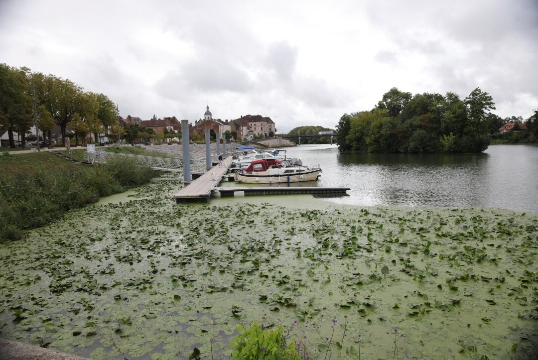 Port de plaisance-Seurre必去景点