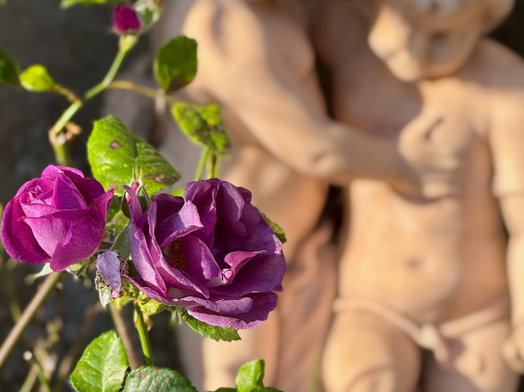 Bellinter House Hotel and Spa主图