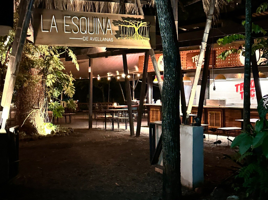 Playa Avellana-Playa Avellanas必去景点