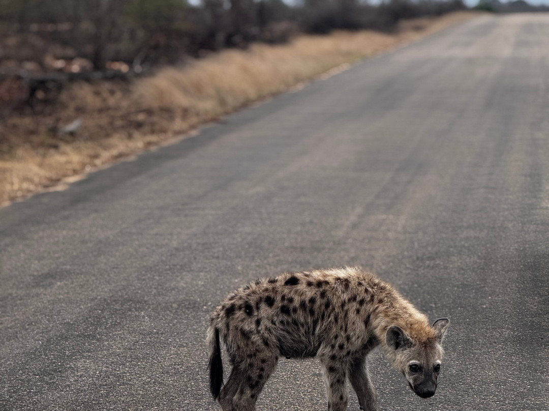 GAP Tours & Transfers-雾观必去景点