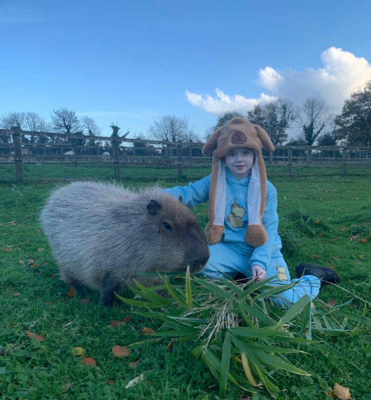 Secret Valley Wildlife Park-韦克斯福德必去景点