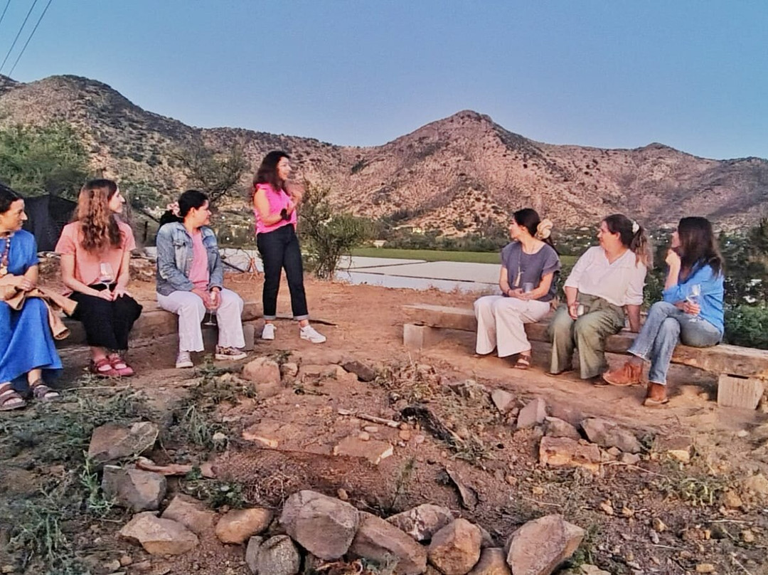 Cuatro Almas Wine Experiences-Buin必去景点