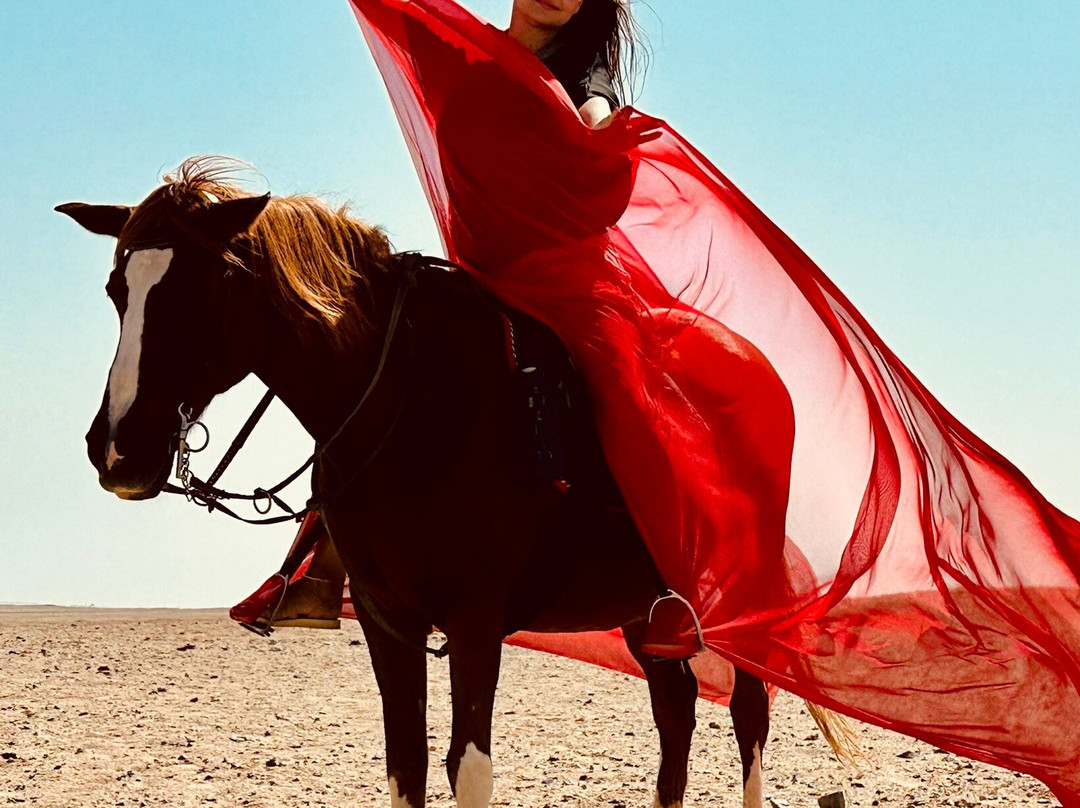 Horse Trips Iryna-赫尔格达必去景点