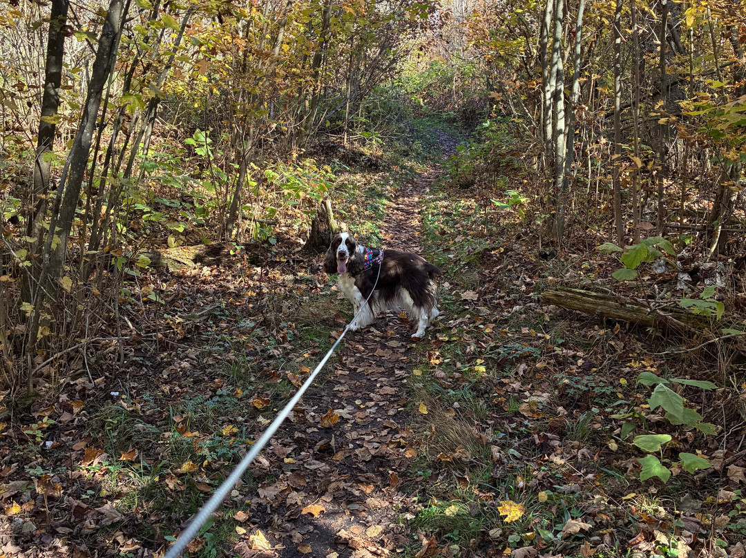 Newport State Park-Ellison Bay必去景点