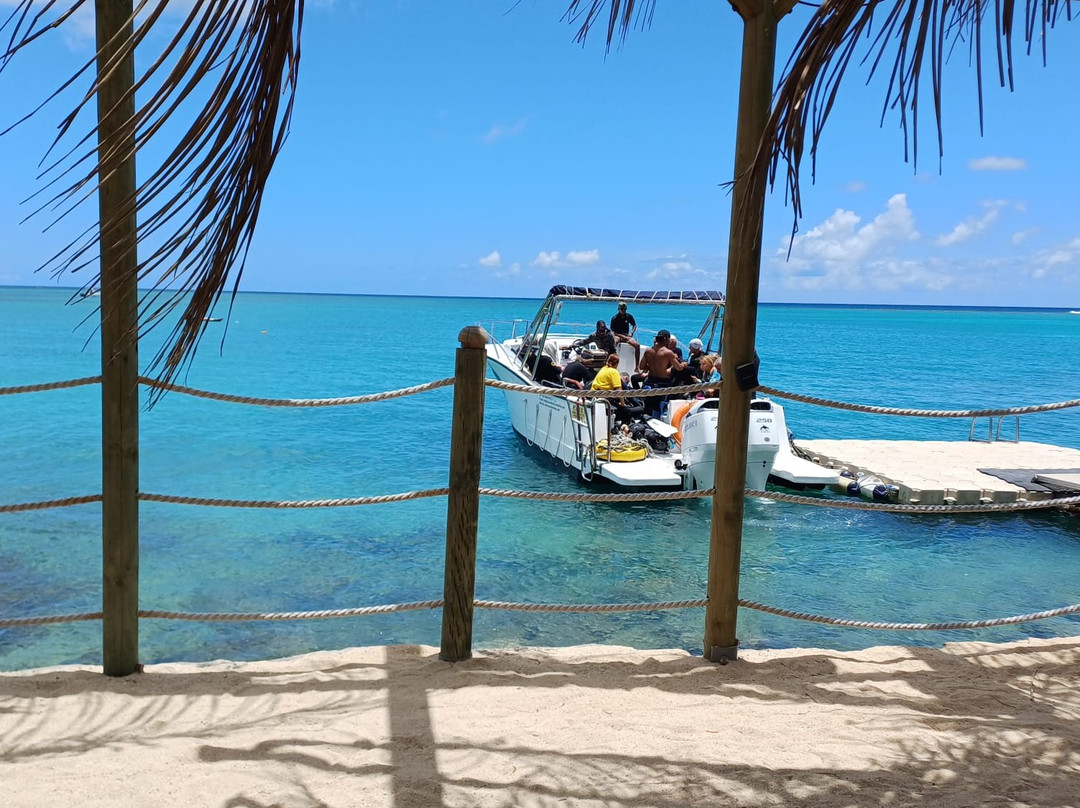 Orca Dive Club - Pereybere-Pereybere必去景点