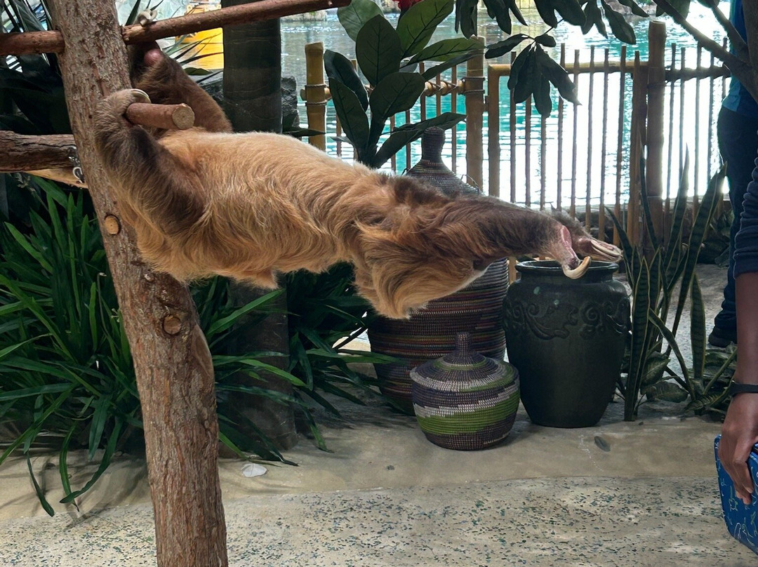 SeaWorld Yas Island Abu Dhabi-阿布扎比必去景点