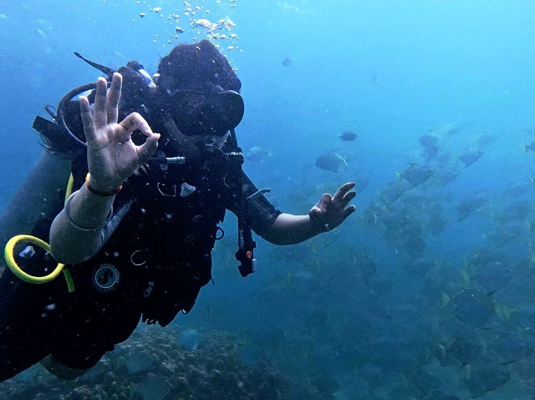 Nemo Diving Center - Fujairah-Dibba Al Fujairah必去景点
