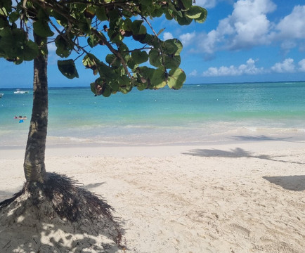 Rimain Tours-普拉亚德尔卡曼必去景点