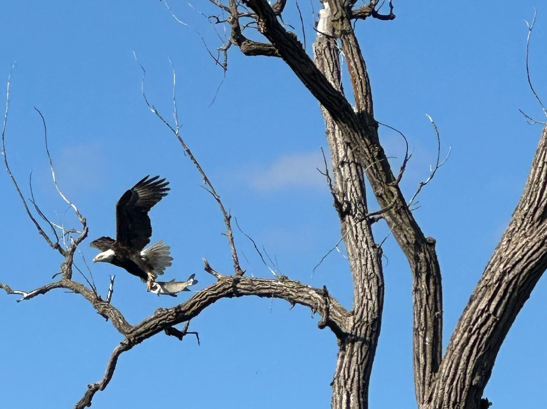Blue Heron Landing-Horicon必去景点