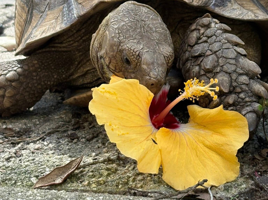 Ziggy's Haven Bird Sanctuary-因弗内斯必去景点