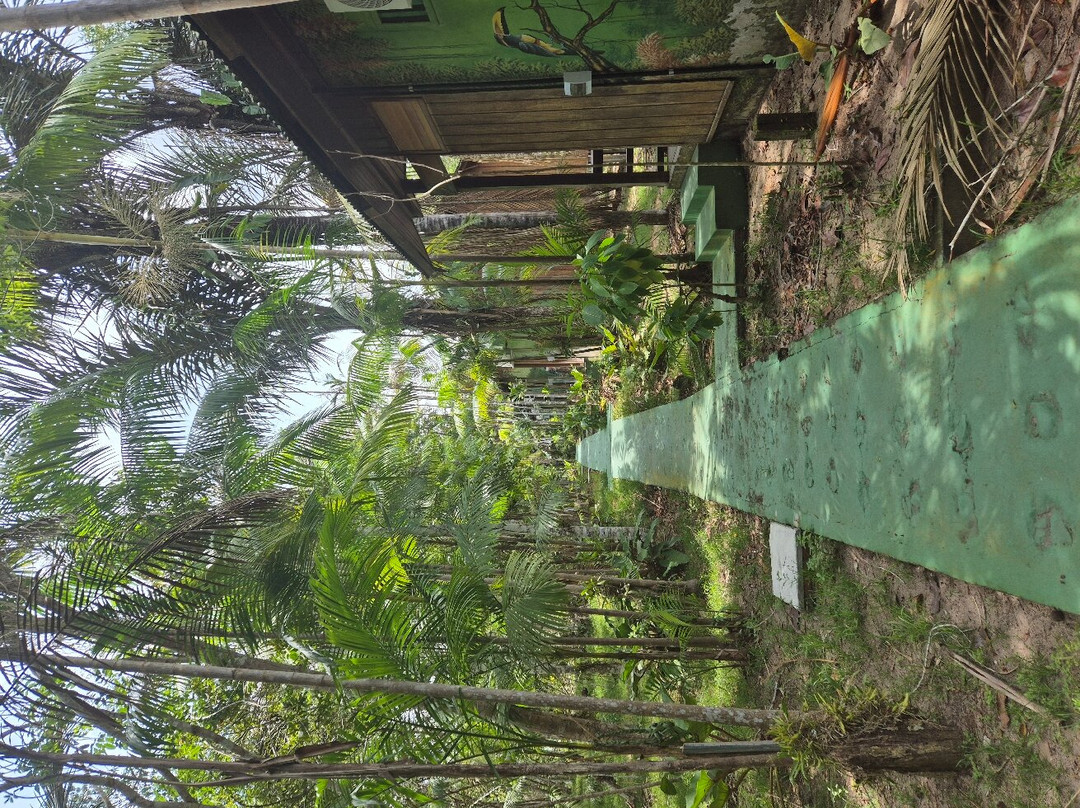 Amazon Antonio Jungle Tours-玛瑙斯必去景点