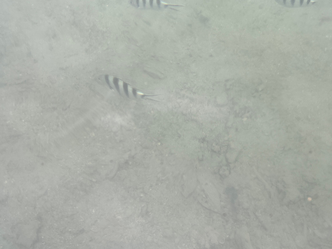 Sea Kayak Adventures-毛里求斯必去景点