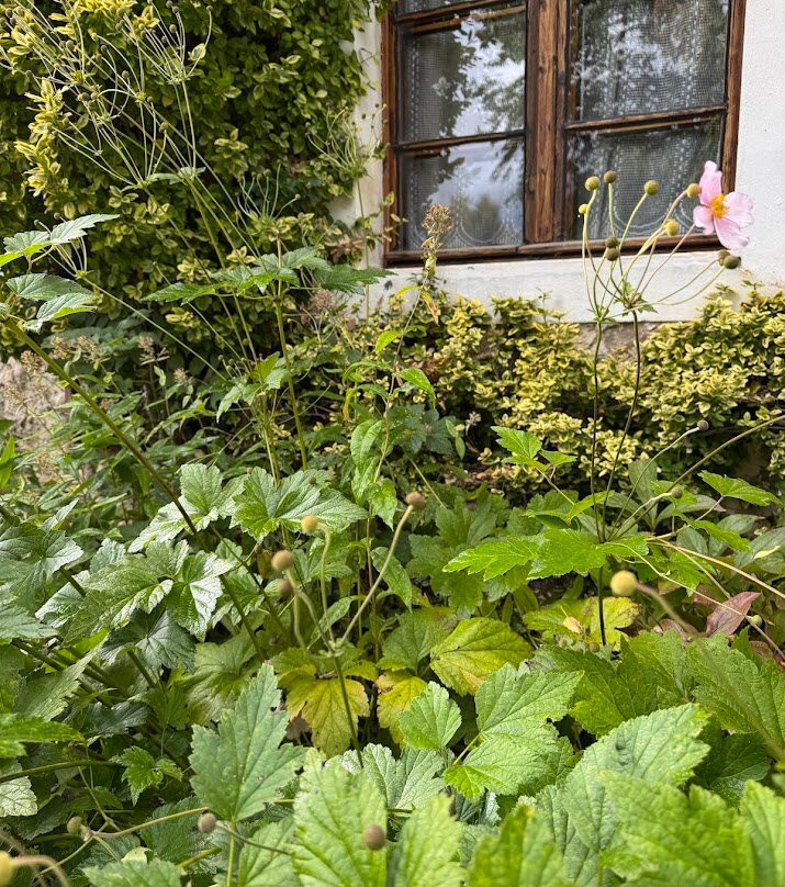 Czerwony Dworek 8主图