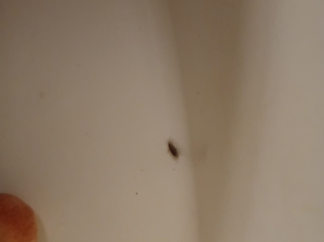 最佳西方皇后酒店主图