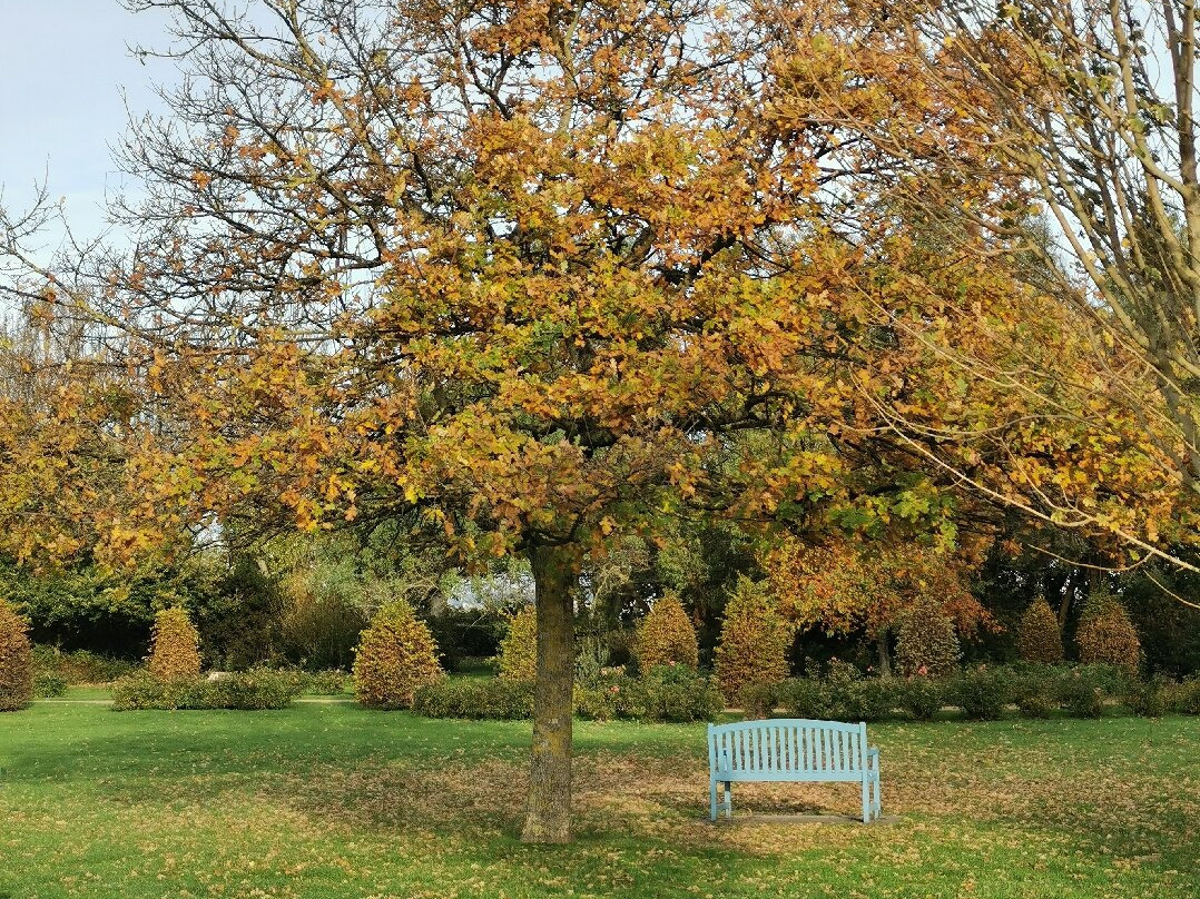 Garden of Personalities-翁弗勒尔必去景点