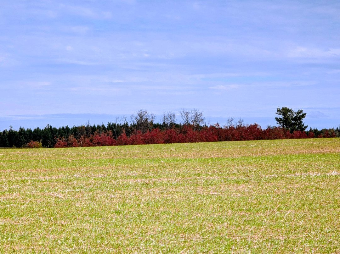 Cavendish Cliffs-卡文迪西必去景点