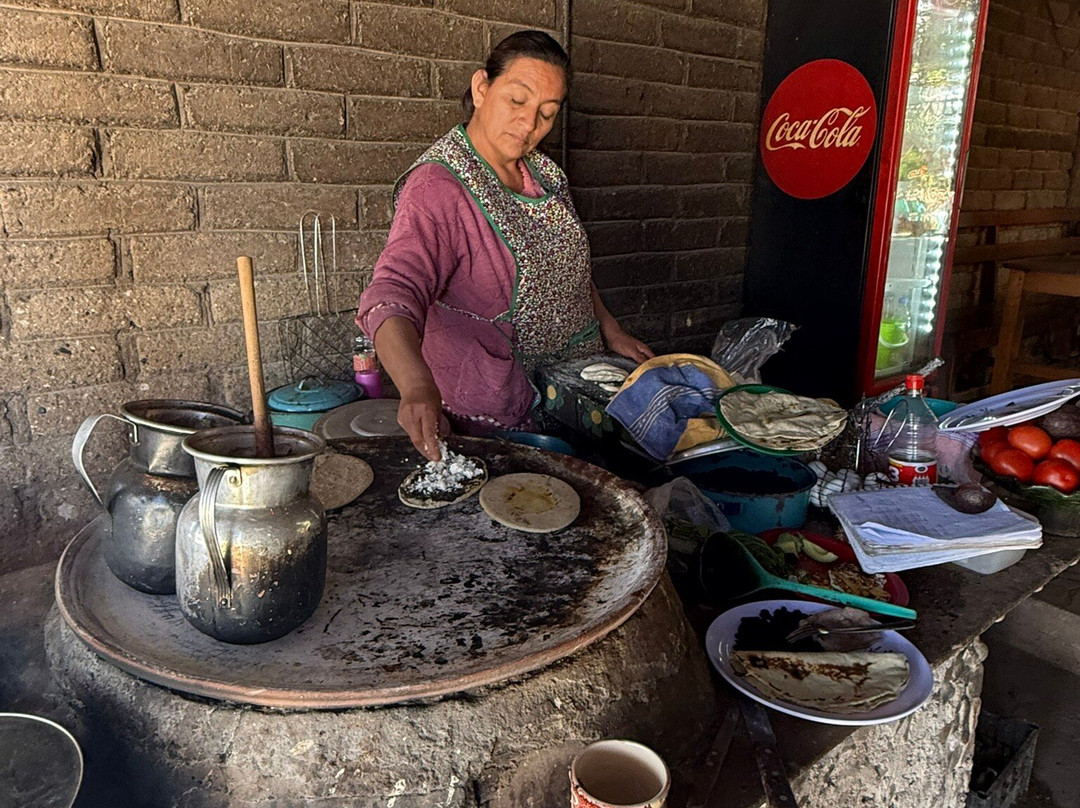 Oaxaca Experience Tours-瓦哈卡必去景点