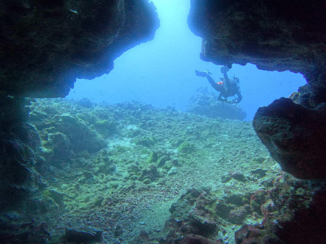 Maui Dive Shop-怀露库必去景点