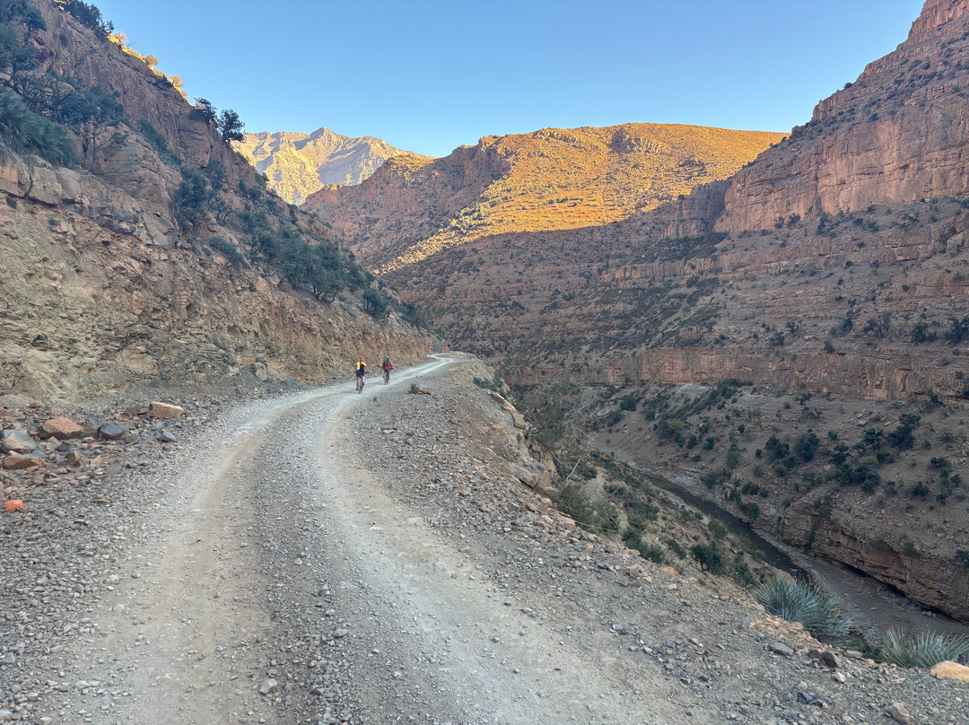 Atlas Mountain Bike-马拉喀什必去景点