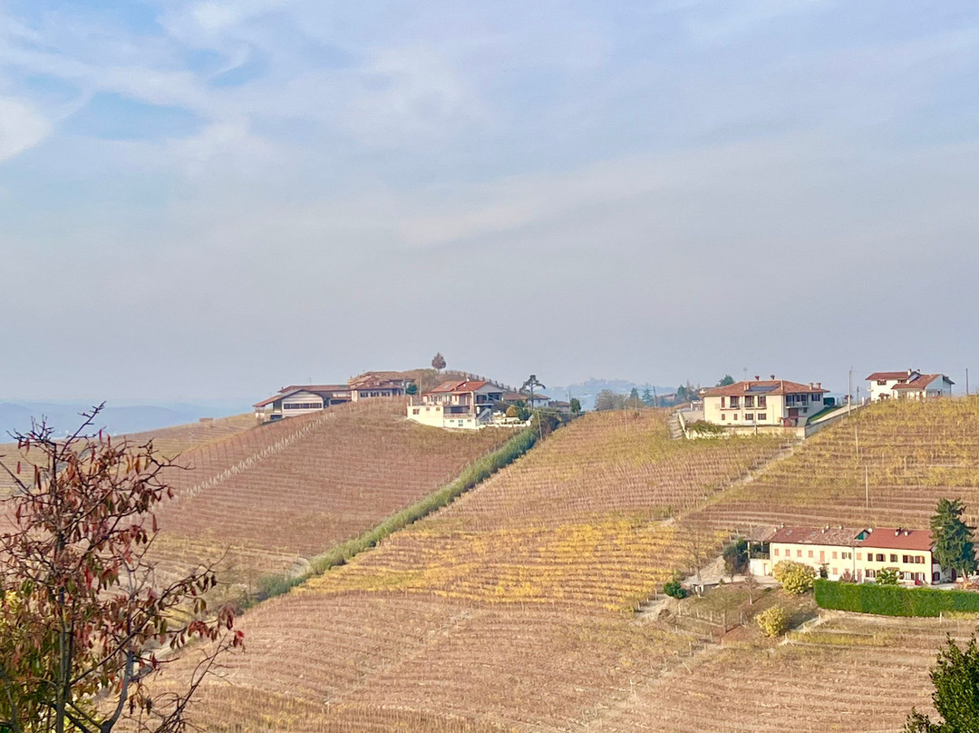 Cà Trifolera Barbaresco Apartament Nelle Langhe - Degustazione Vini Nella Nostra Cantina