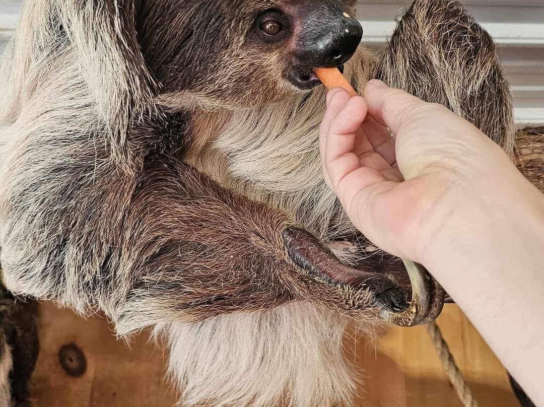 Timbavati Wildlife Park-威斯康星峡谷必去景点