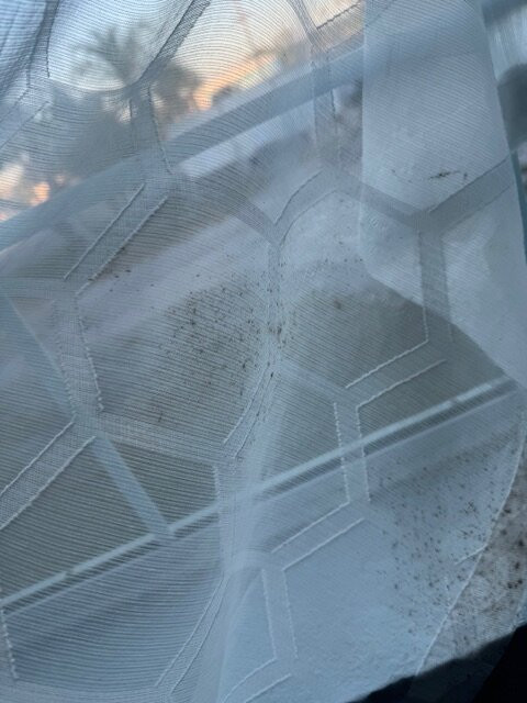 Ivey House Everglades Adventures Hotel主图