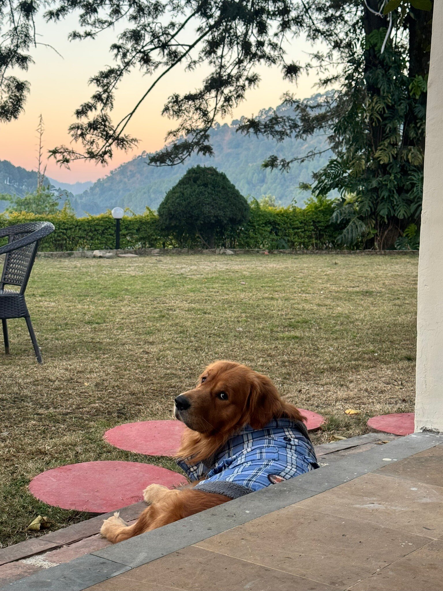 比姆塔尔乡村酒店-官方