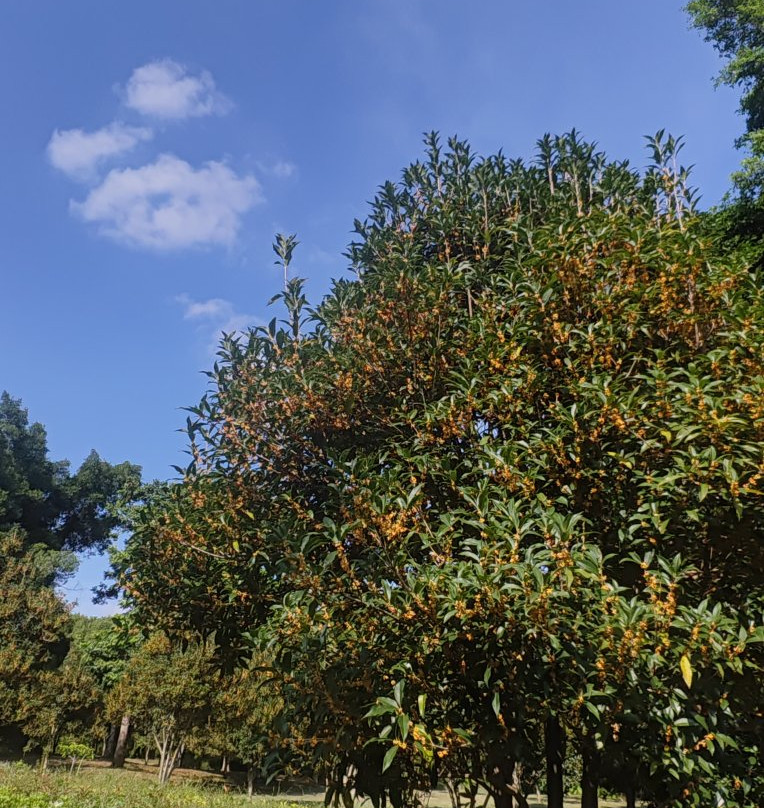 福建鲤鱼洲酒店主图