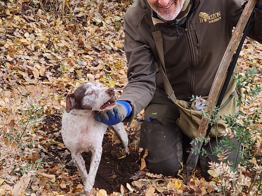 Podere Il Casale-皮恩扎必去景点