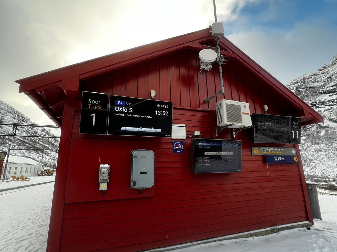 Myrdal Station-米达尔必去景点