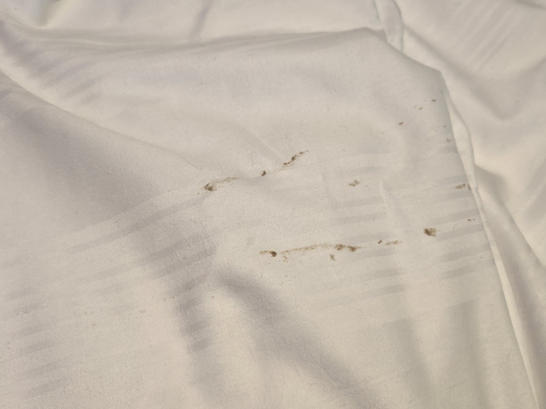 Premier Inn Penzance hotel主图