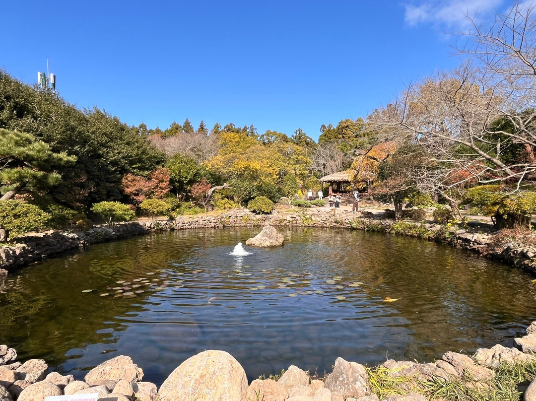 Camellia Hill-西归浦市必去景点