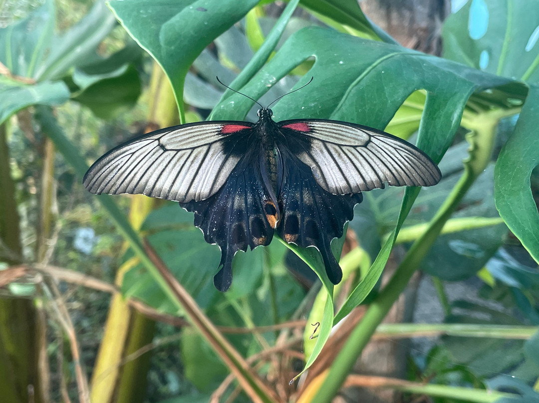 The Bug Parc-Lenwade必去景点