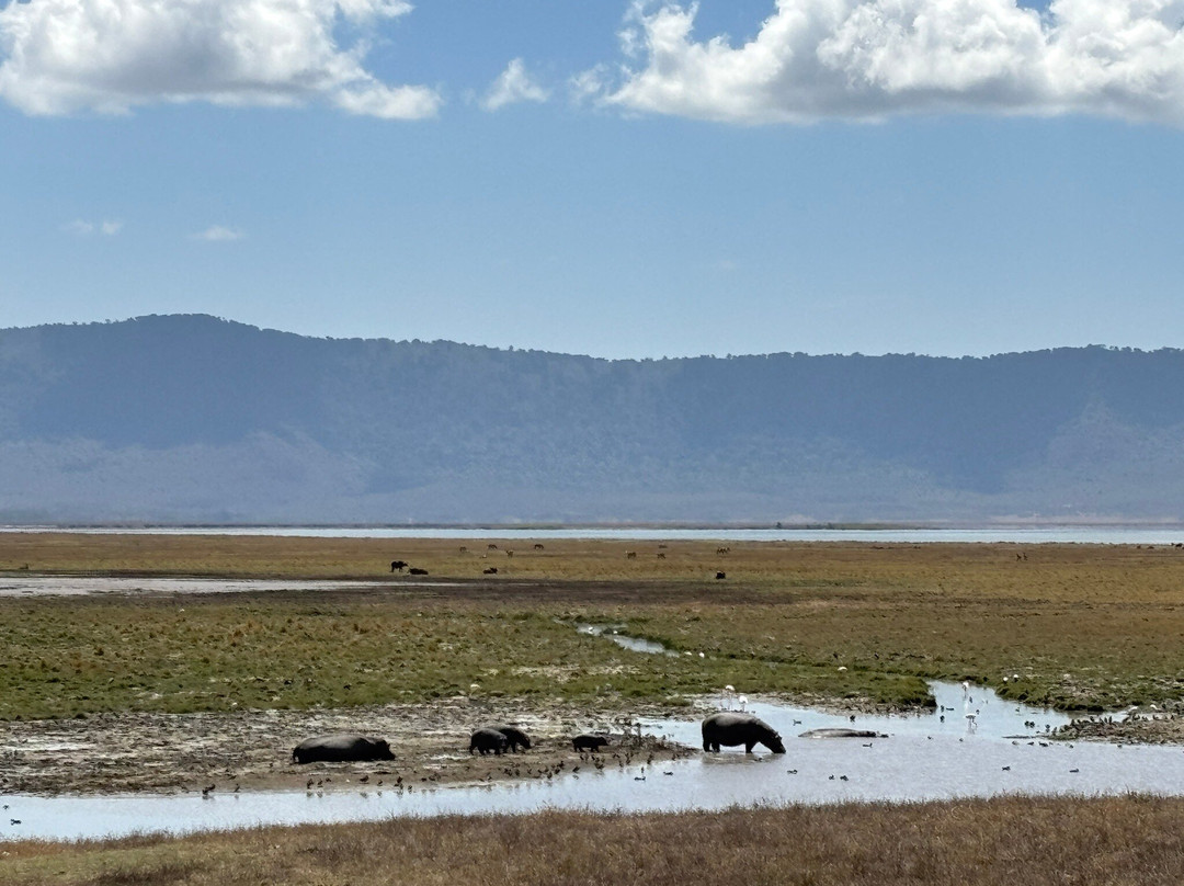 WildReality Safari-Dar es Salaam必去景点