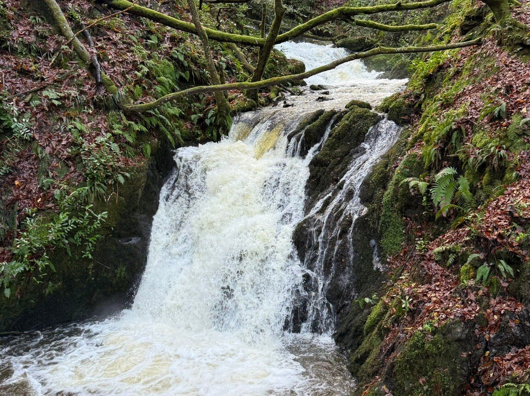 Ireland Chauffeur Vacations-基尔肯尼必去景点