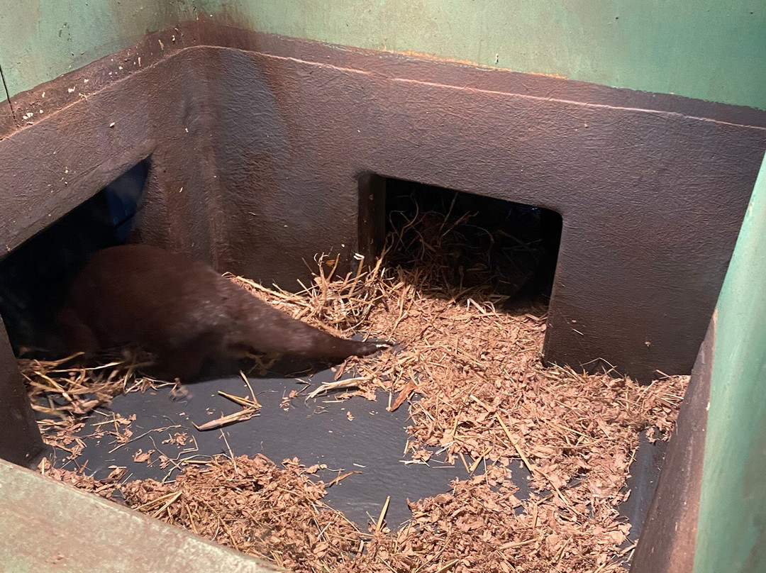 Lakes Aquarium-Newby Bridge必去景点