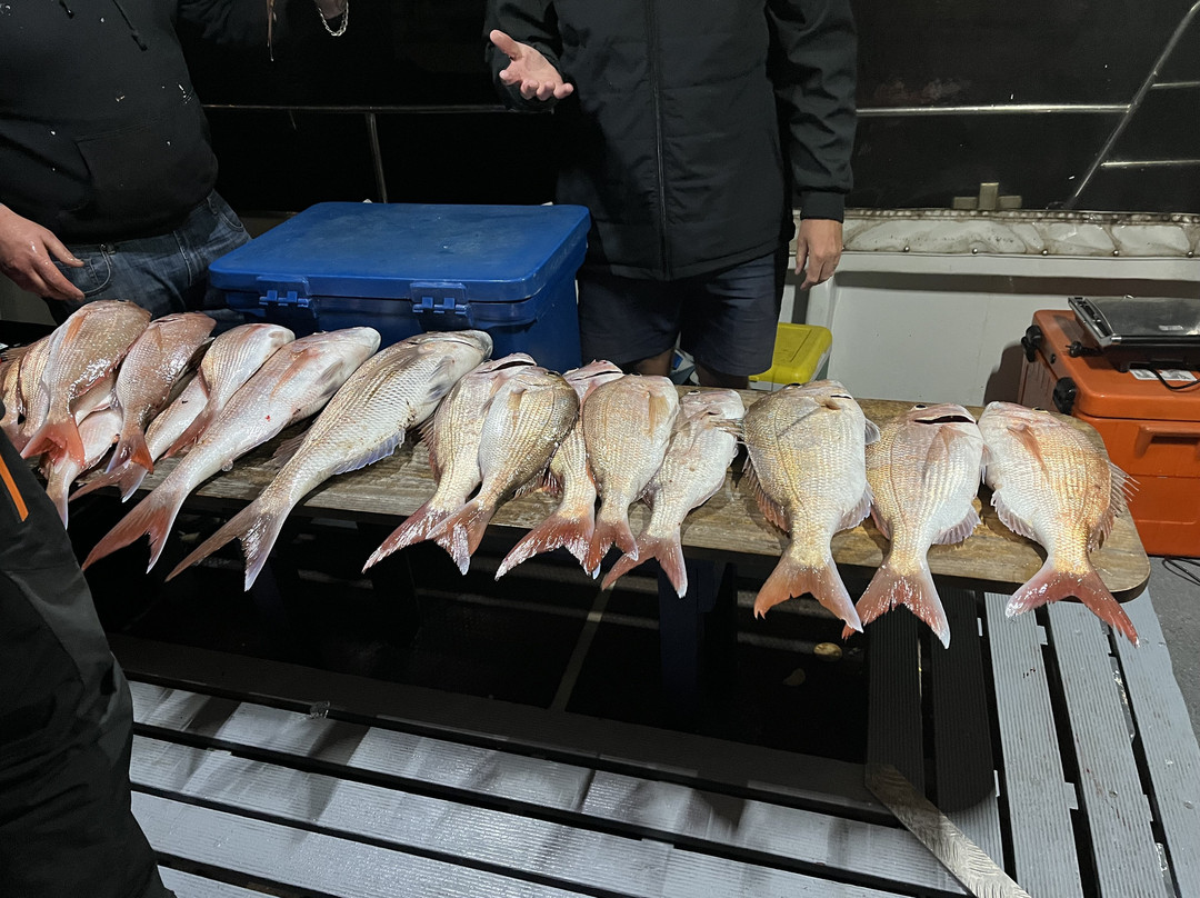 Freetime Adventure Charters