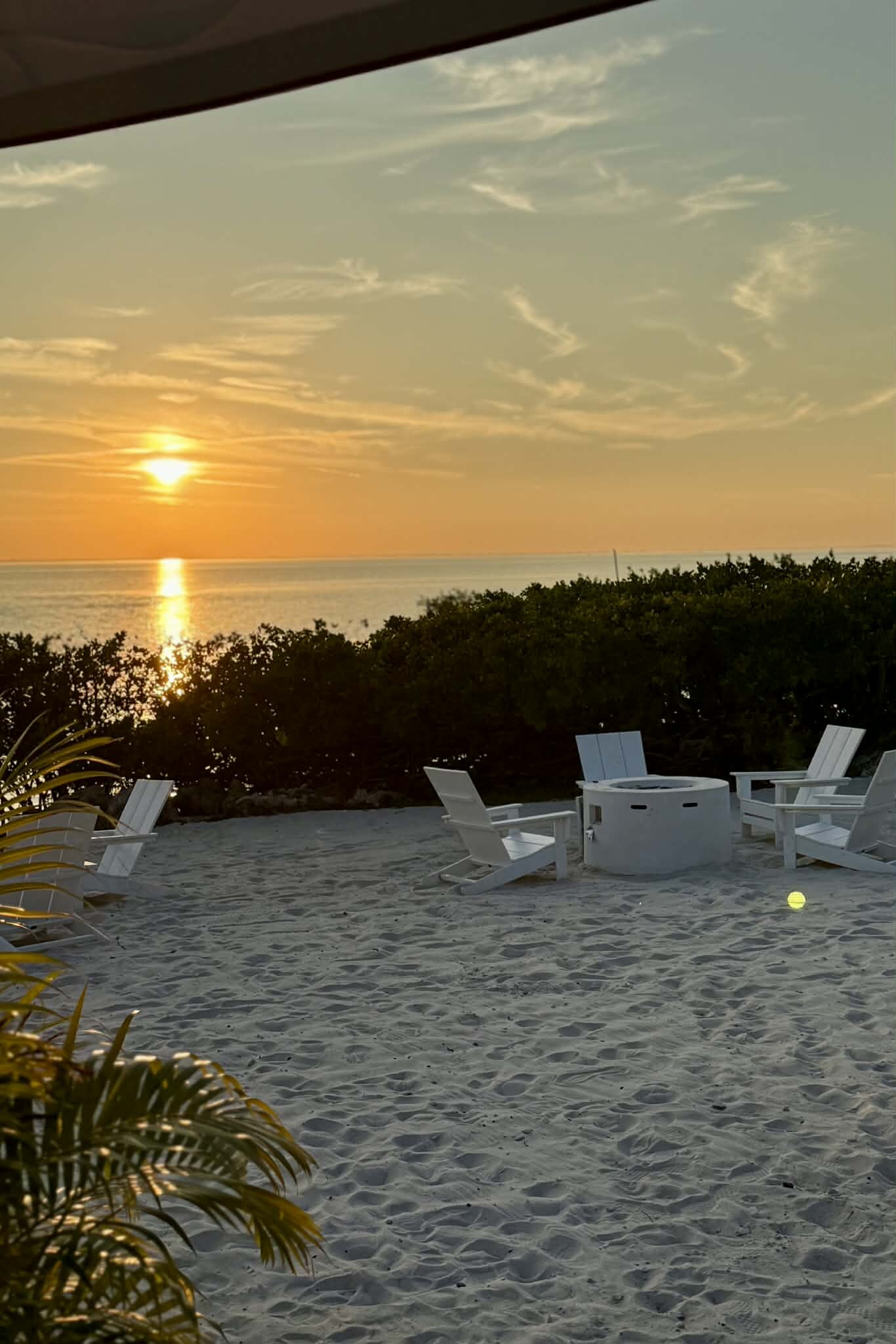 坦帕湾君悦豪华酒店-官方